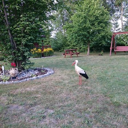 Agroturystyka I Domki Zacisze Jarosławiec Dış mekan fotoğraf