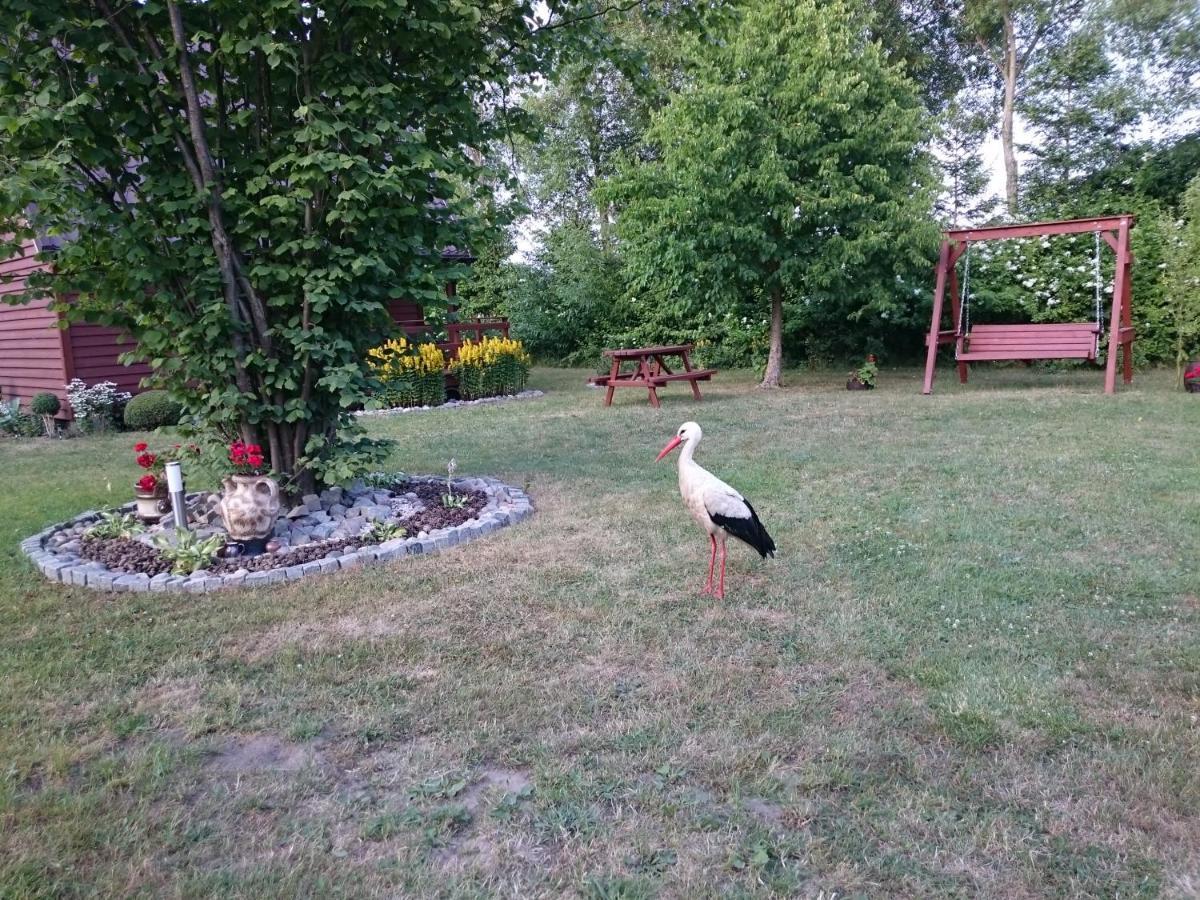 Agroturystyka I Domki Zacisze Jarosławiec Dış mekan fotoğraf