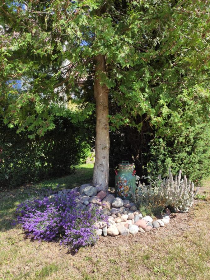 Agroturystyka I Domki Zacisze Jarosławiec Dış mekan fotoğraf